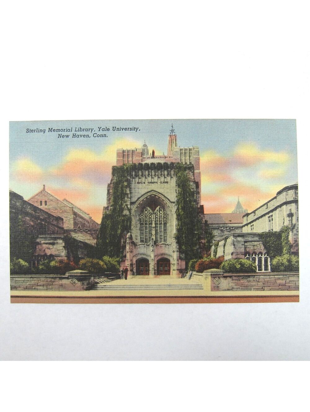 Vintage Postcard Yale University Sterling Memorial Library New Haven CT UNPOSTED